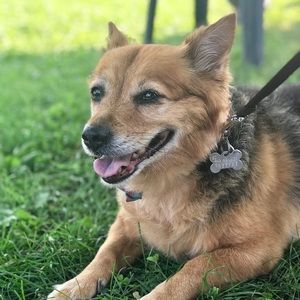 Meet your Posher, Jasmin